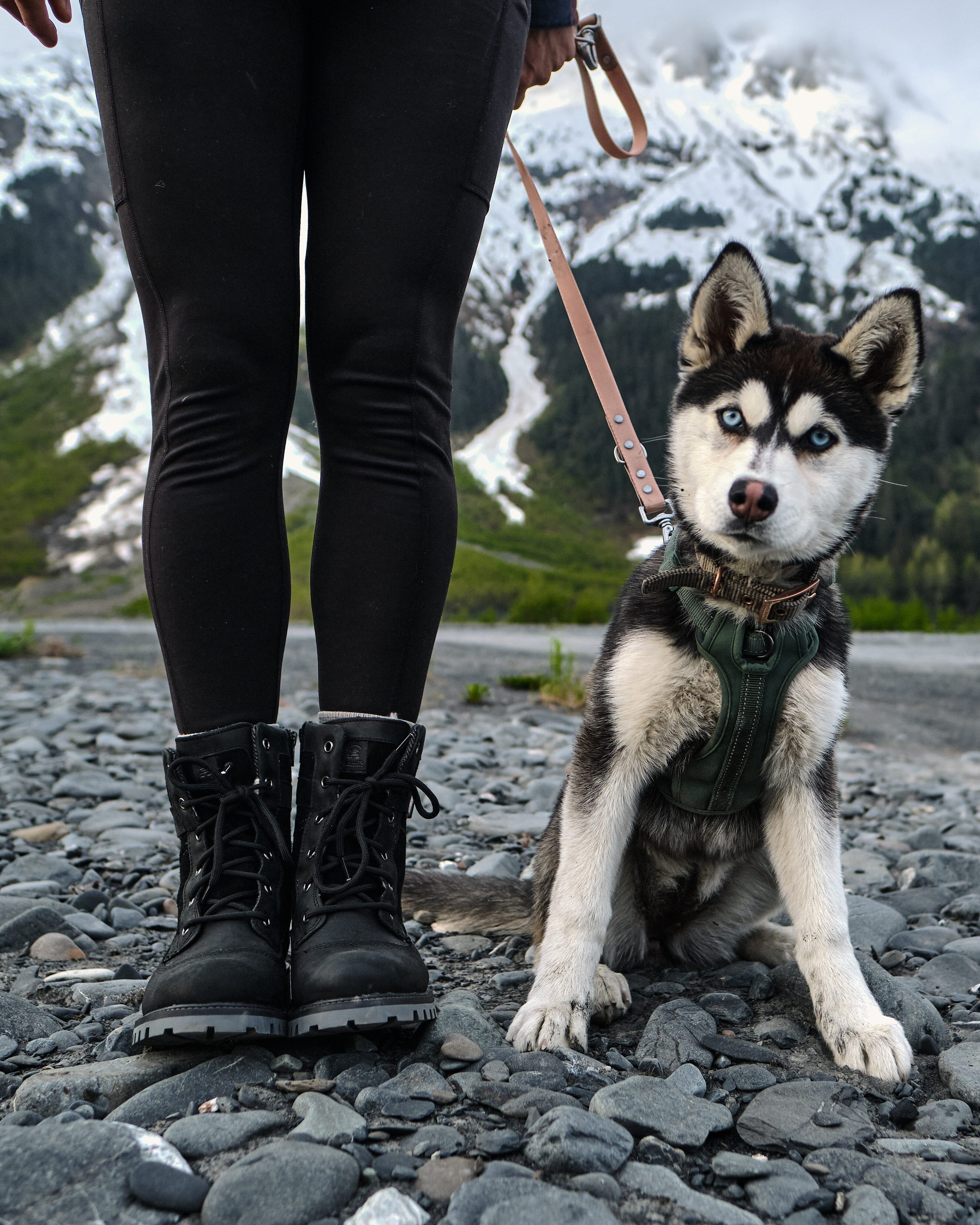 Women's fall and winter boots | Rogue Mid Wide | Kamik Canada